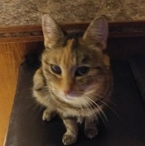 Meet your Posher, Aaron